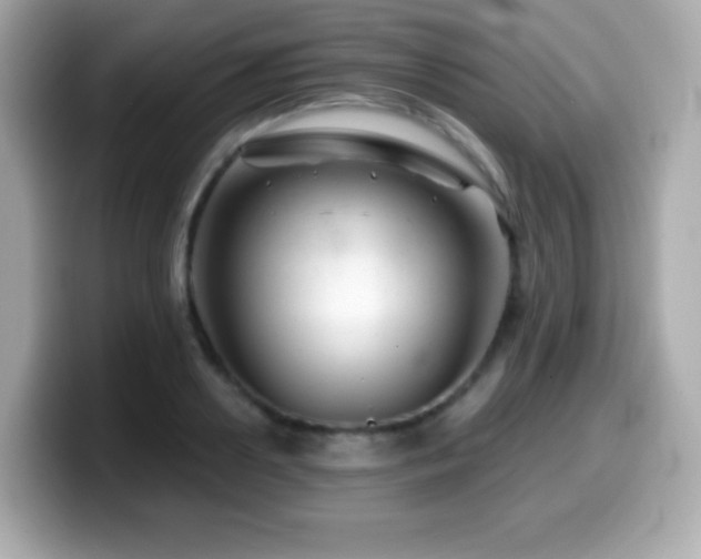 X0000099970938200805231402