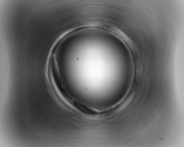 X0000099970940200805231402