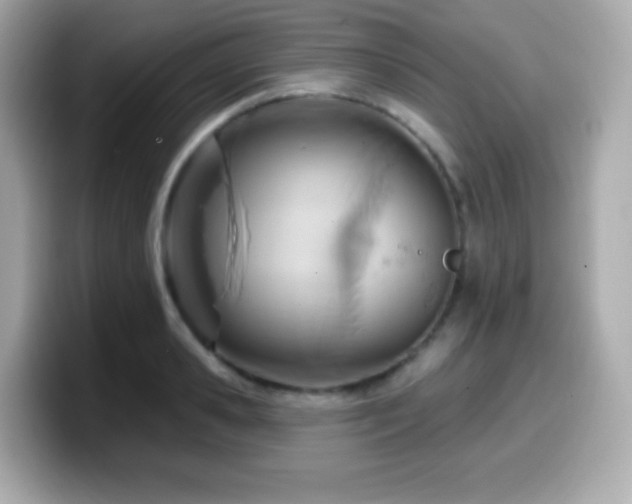 X0000099970941200805231402