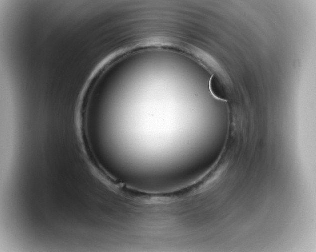 X0000099970942200805231402
