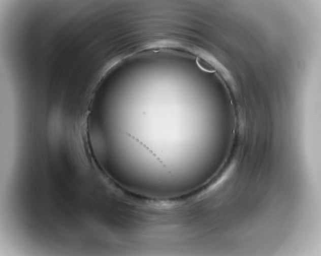 X0000099970945200805231402