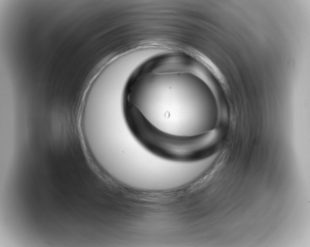 X0000099970946200805231402
