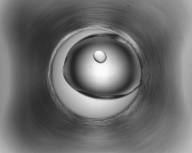 X0000099970948200805231402