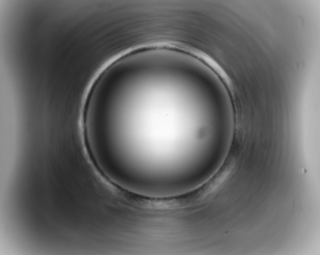 X0000099970951200805231402