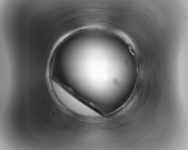X0000099970952200805231402