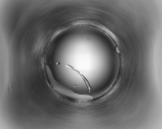 X0000099970953200805231402