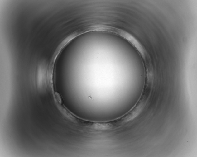 X0000099970954200805231402