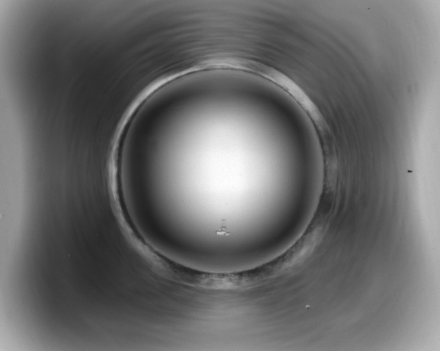 X0000099970955200805231402