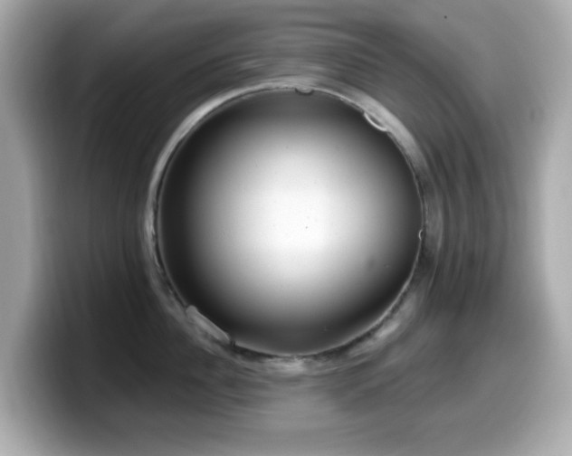 X0000099970956200805231402