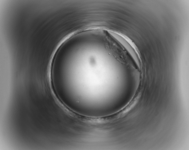 X0000099970957200805231402