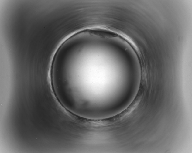 X0000099970959200805231402