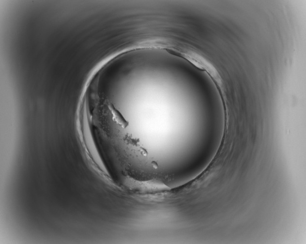X0000099970960200805231402