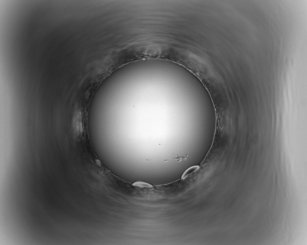 X0000099970962200805231402