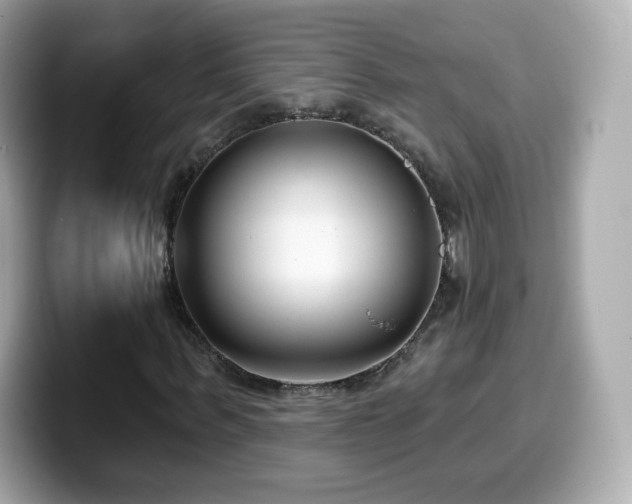 X0000099970963200805231402