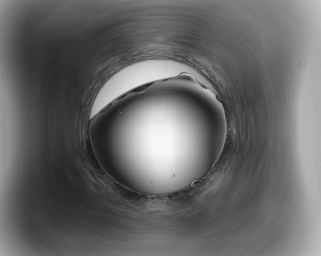 X0000099970964200805231402