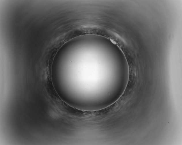 X0000099970965200805231402