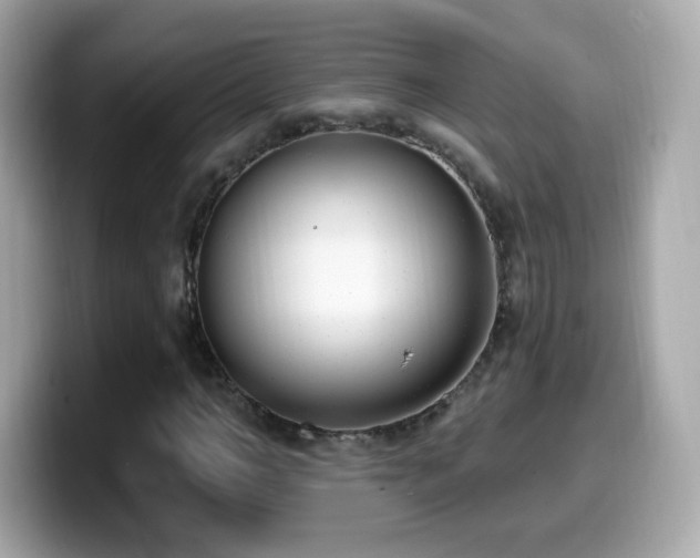 X0000099970966200805231402