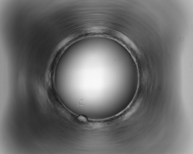 X0000099970970200805231401