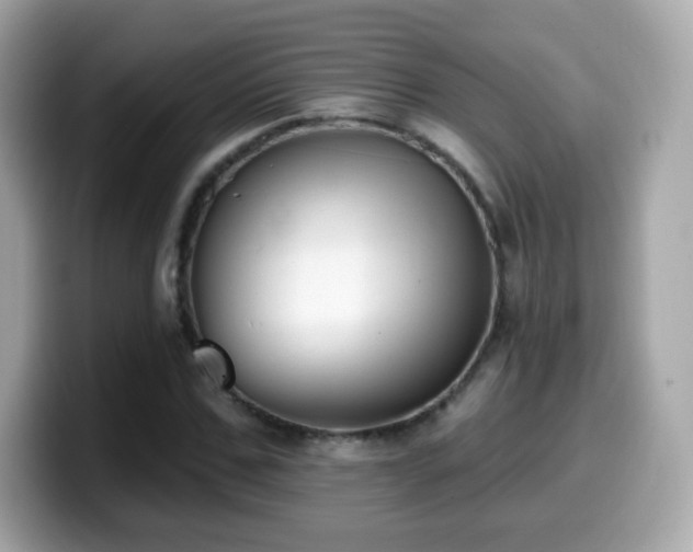 X0000099970971200805231401