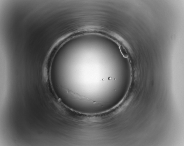 X0000099970973200805231401