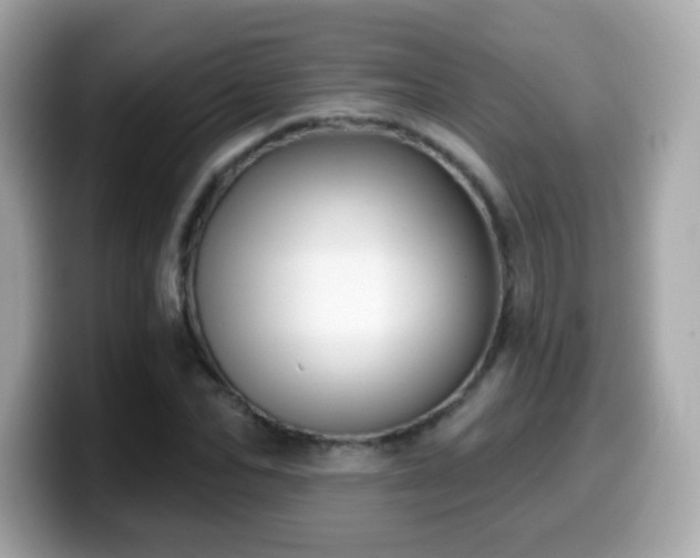 X0000099970974200805231401