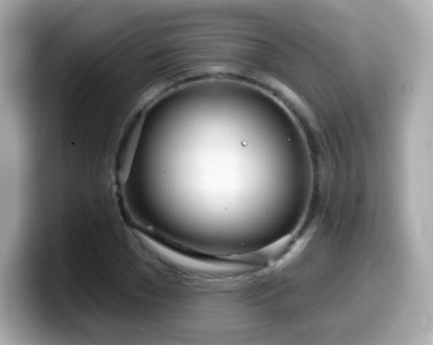 X0000099970977200805231401