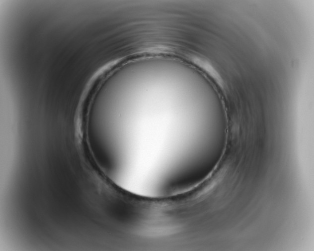 X0000099970979200805231401