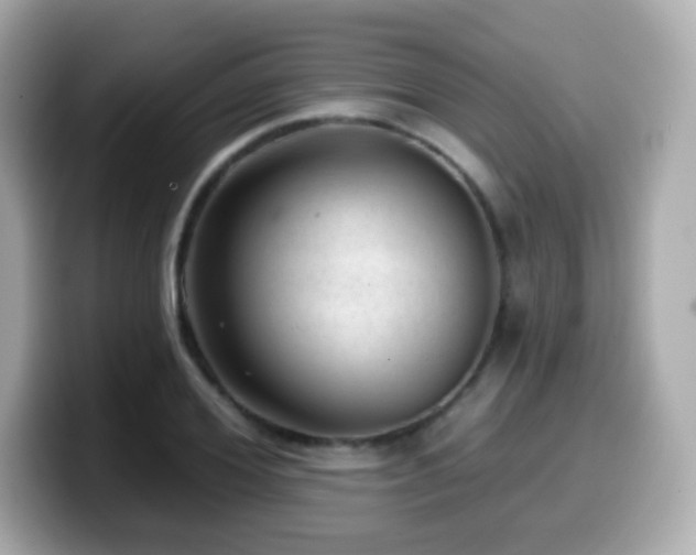 X0000099970980200805231401