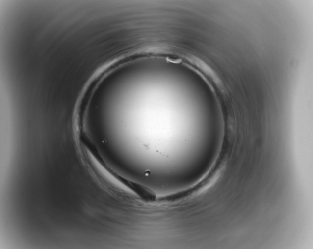 X0000099970981200805231401