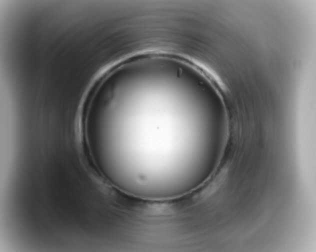 X0000099970982200805231401