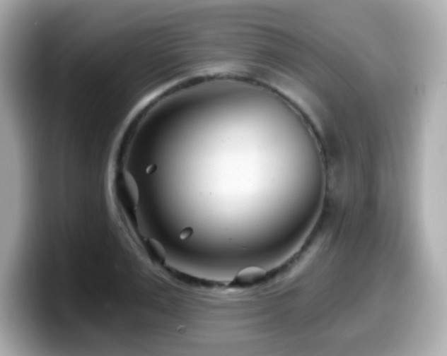 X0000099970983200805231401