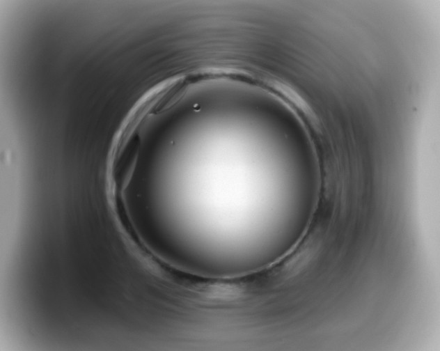 X0000099970984200805231401