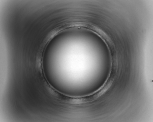 X0000099970985200805231401