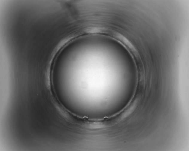 X0000099970986200805231401