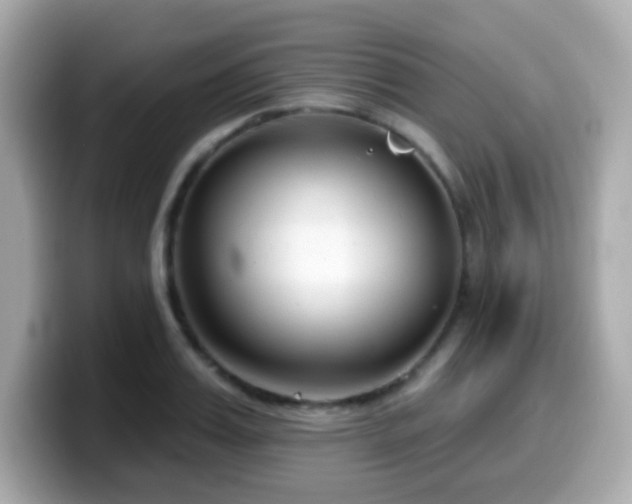 X0000099970987200805231401