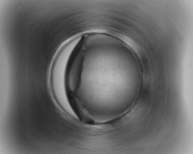X0000099970988200805231401