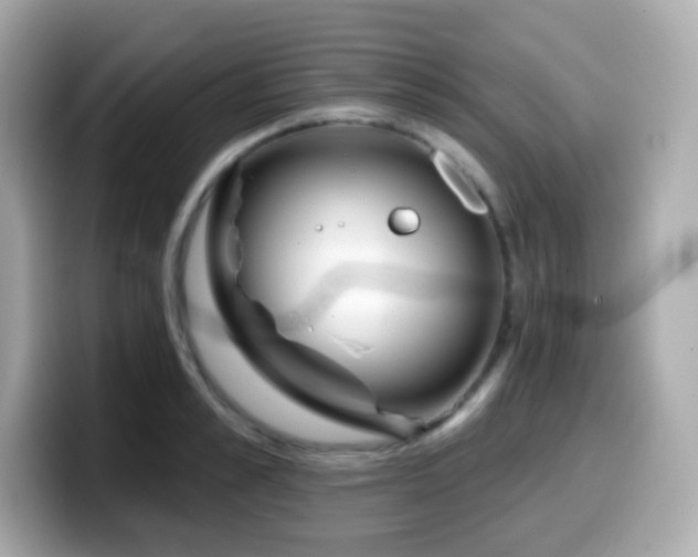 X0000099970989200805231401