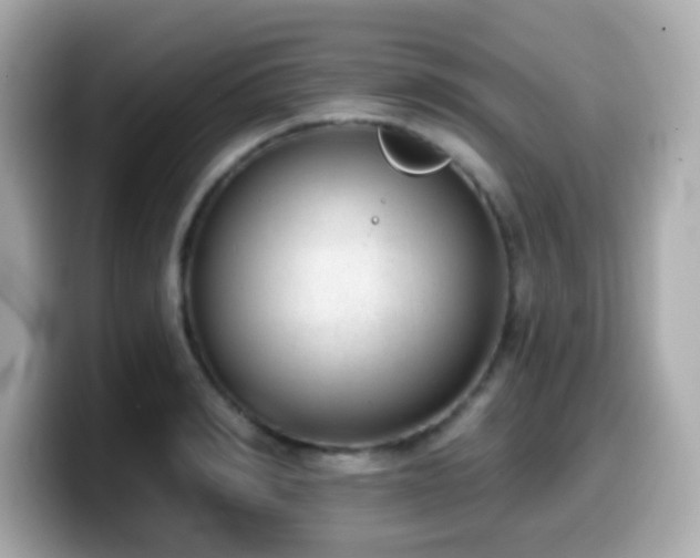 X0000099970990200805231401