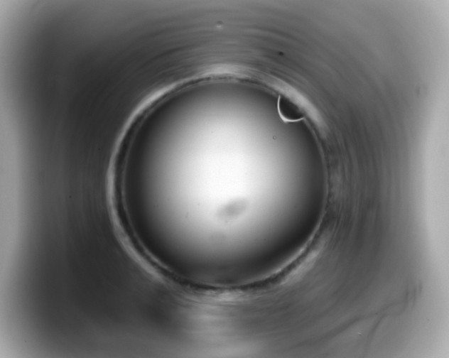 X0000099970991200805231401
