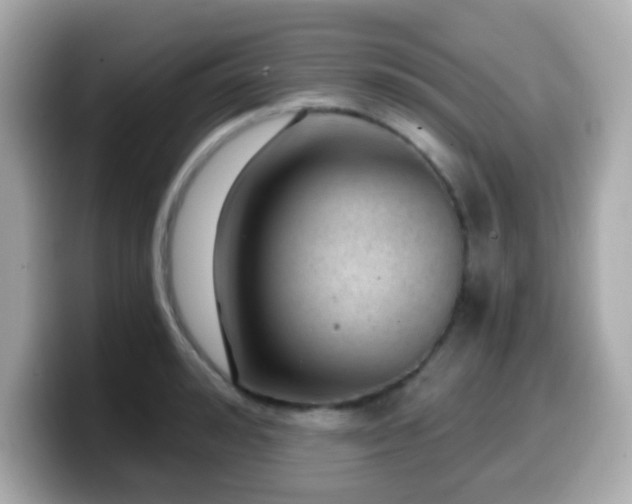 X0000099970992200805231401