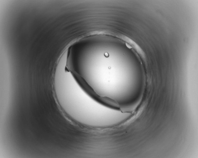 X0000099970993200805231401