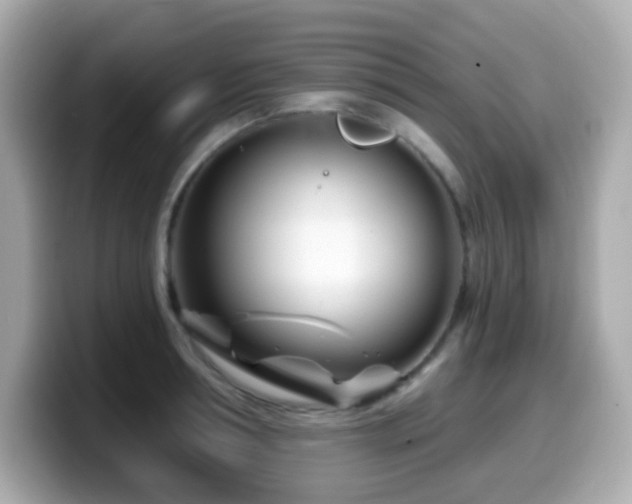X0000099970994200805231401