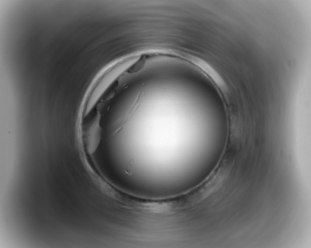 X0000099970996200805231401