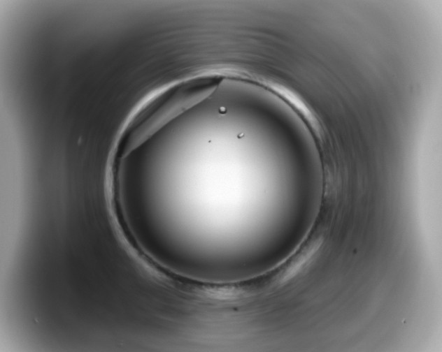 X0000099970999200805231401