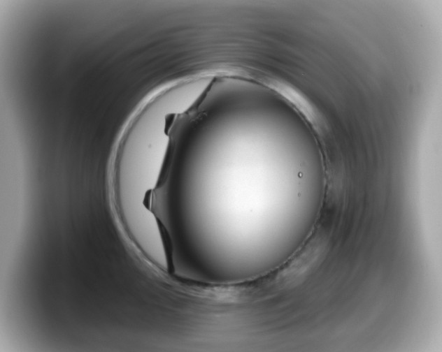 X0000099971000200805231401