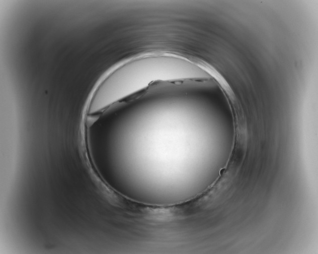 X0000099971004200805231401