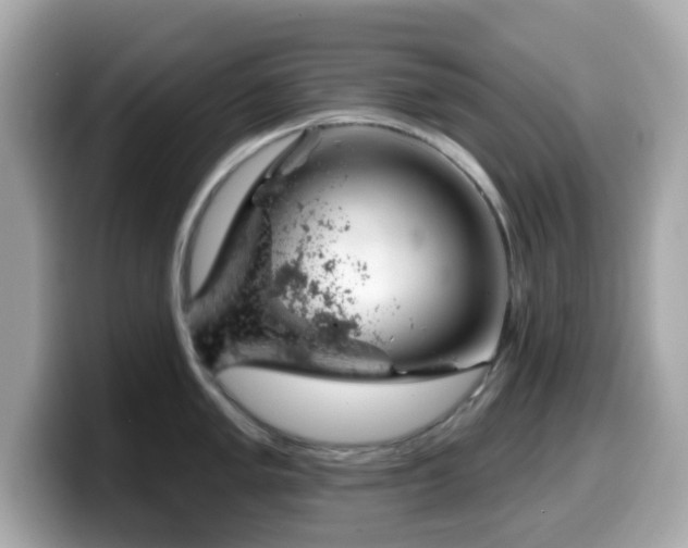 X0000099971005200805231401
