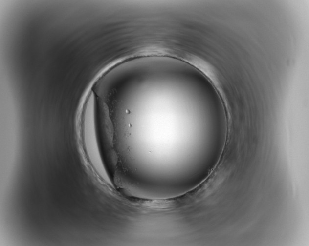 X0000099971008200805231401