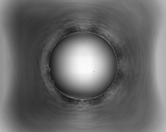 X0000099971009200805231400