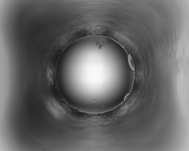 X0000099971010200805231400